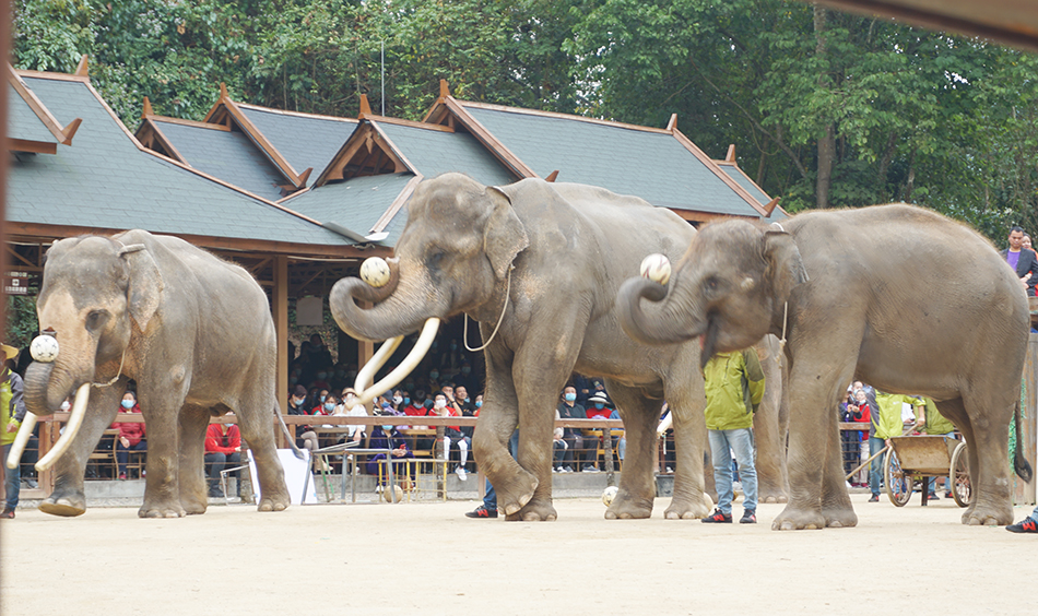 每一场旅行都将是成长的回忆（images 6）